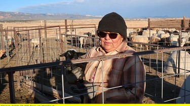 Irene Bennalley hat lange in der Stadt gelebt. Nach dem Tod ihres Vaters übernahm sie seine Schafzucht. Schafe sind den Navajo sehr wichtig. | Bild: BR/NDR/Audrey Stimson