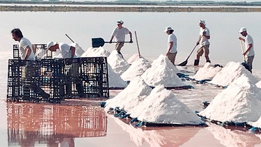 Einmal im Jahr wird in der Camargue 'Fleur de Sel' geerntet. Per Hand wird das Luxus-Salz aus der Saline geschippt. | Bild: SWR/OTHER PEOPLE pictures