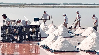 Einmal im Jahr wird in der Camargue 'Fleur de Sel' geerntet. Per Hand wird das Luxus-Salz aus der Saline geschippt. | Bild: SWR/OTHER PEOPLE pictures