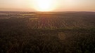 Sonnenaufgang über größtem Mischwaldgebiet Mitteldeutschlands - der Dübener Heide. | Bild: MDR/Simank-Film