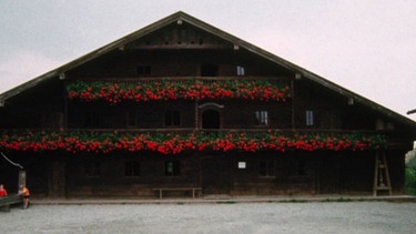 Wunderschöner alter Bauernhof im Bauernhofmuseum in Massing. | Bild: BR