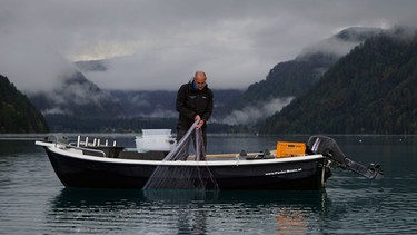 Fischökologe Martin Müller frühmorgens auf dem Weissensee. | Bild: SWR/Bilderfest GmbH/Johannes Holland