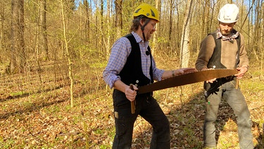 Mathias Gläser und Jan Vockel. Die beiden sind Zimmerermeister und Restauratoren im Handwerk. Sie fällen die Esche mit Äxten, zersägen dann den Stamm und zeigen mit alten Techniken, wie man aus dem Rundholz optimal einen eckigen Balken arbeitet. | Bild: SWR