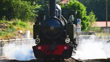 Die Dampflok des Velay-Express ist klein aber sie hat es in sich - sie ist eine der wenigen Mallet-Lokomotiven, die auf einer Schmalspurbahn noch in Betrieb ist. | Bild: SWR