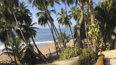 Strand an der costa-ricanischen Halbinsel Nicoya. | Bild: HR/Monika Birk