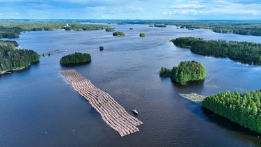 Ein Holzteppich Seengebiet von Saimaa in Finnland. Mehrere Hundert Baumstämme treiben auf dem Wasser. | Bild: NDR/Sebastian Böhme