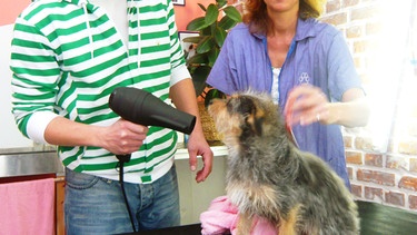 Willi mit Beate Simons und Hündin Marli im Neuhausener Hundesalon. | Bild: BR/megaherz gmbh