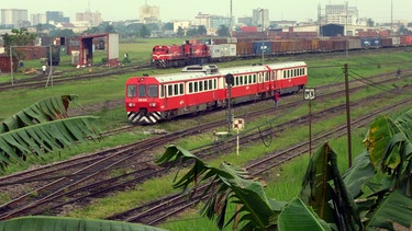 Kurz vor der Hauptstadt Yaoundé auf über 700 Metern. | Bild: SWR/Alexander Schweitzer