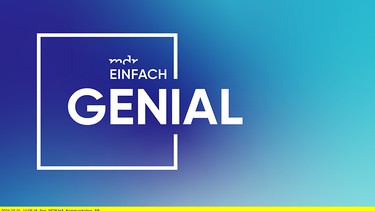 Henriette Fee Grützner moderiert das MDR-Magazin "Einfach genial". | Bild: BR/MDR/Hagen Wolf