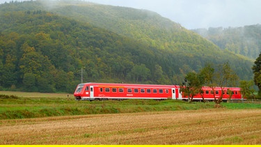 Die Brenztalbahn - die Strecke verläuft auf der herrlichen Schwäbischen Alb ganz am südöstlichen Rand Baden-Württembergs. | Bild: SWR/Alexander Schweitzer