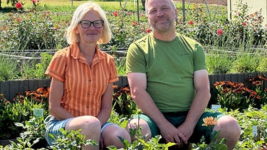 Die Dahlienzüchter Panzer inmitten in ihrer Dahlien-Jungpflanzen. | Bild: MDR/Anke Deleiter