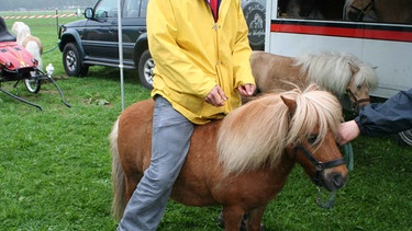 Willi mit einem Mini Shetland Pony im Merfelder Bruch bei Dülmen. Hier leben die einzigen Wildpferde Deutschlands. | Bild: BR/megaherz gmbh