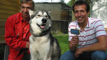 Willi Weitzel im Tierheim München. Hier landen Hunde, die kein Zuhause mehr haben. | Bild: BR/megaherz gmbh