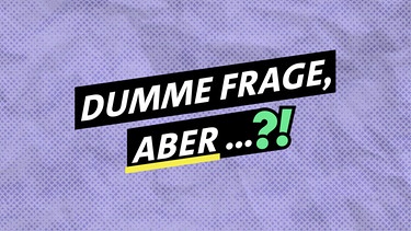 Key Visual/Cover mit Typo zu "Dumme Frage, aber ...?!". Wir gehen den Fragen nach, die du dir selbst stellst, aber selten offen aussprichst. Hier gibt es keine dummen Fragen, denn jede hat eine Antwort! Du kannst die Fragen stellen, die dich bewegen. Wir zeigen: Keine Frage ist zu schwierig. Ob es um ernste Themen geht wie "Was, wenn morgen Krieg wäre - müsste ich kämpfen?" oder um alltägliche Sorgen - unsere Hosts Lilian und Minusch liefern die Antworten! | Bild: BR/Maxi Schumann/Lara Baumbach/Jakob Fischer