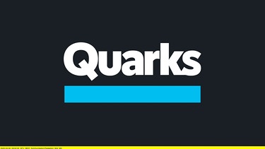 Logo zu "Quarks". | Bild: WDR