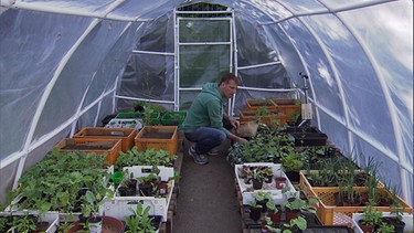 Roland Brücher kümmert sich im Nürnberger Stadtgarten um seine selbst gezogenen Tomatenpflänzchen. | Bild: Honorarfrei lediglich für Ankündigungen und Veröffentlichungen im Zusammenhang mit obiger BR-Sendung bei Nennung: "Bild: BR". Nutzung im Social Media-Bereich sowie inhaltlich andere Verwendungen nur nach vorheriger schriftlicher Vereinbarung mit dem BR-Bildmanagement, Tel. 089 / 5900 10580, Fax 089 / 5900 10585, Mail Pressestelle.foto@br.de