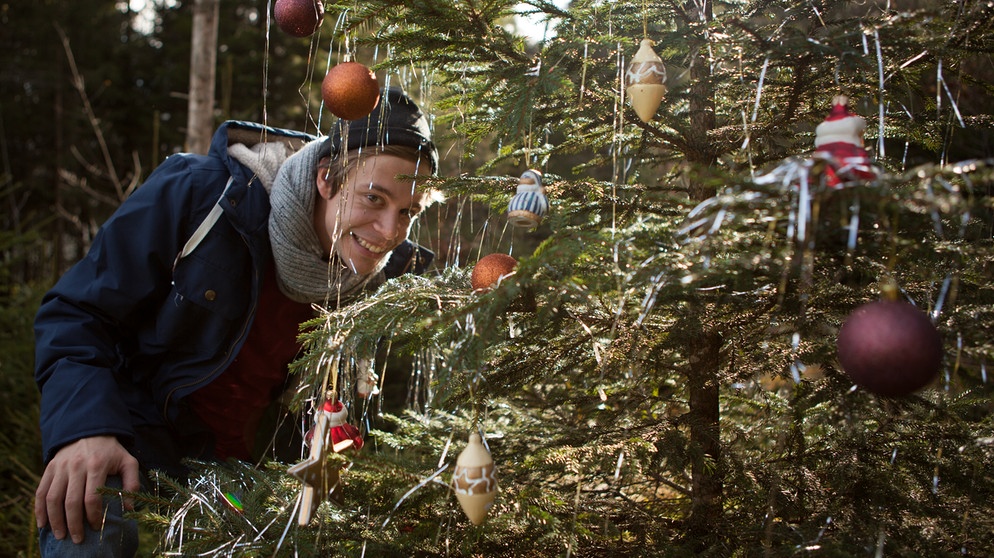 Der Christbaum-Check / Checker Tobi hinter einem Christbaum. | Bild: BR/megaherz gmbh/Hans-Florian Hopfner