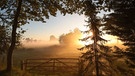 Sonnenaufgang in Ostfriesland Ogenbargen | Bild: NDR