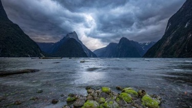 Planet Wissen - Neuseeland - Leben zwischen Maori und Kiwis | Bild: planet-wissen.de