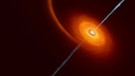 Animationen aus dem  Kosmos - Animation. Ein schwarzes Loch verschlingt einen Stern.  | Bild: ESO/M. Kornmesser