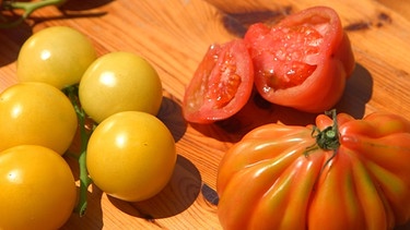 Tomaten | Bild: BR