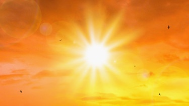 treffpunkt medizin - Gesundheitsmythen: Sonnenlicht / Direkter Blick in die Sonne. Das Bild ist stark orange als Symbol für die Hitzewellen. Es sind vereinzelt fliegende Vögel zu sehen. | Bild: stock.adobe.com/Lemonsoup14