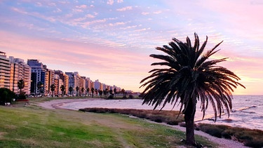 Das Leben in Montevideo wirkt wie in ganz Uruguay entspannt, und ist kaum vergleichbar mit dem Trubel anderer Metropolen. | Bild: BR/Maximus Film GmbH/NDR/Sina Hutt