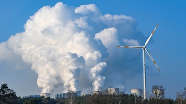 Wasserdampf steigt aus den Kühltürmen des Braunkohlekraftwerks Jänschwalde der Lausitz Energie Bergbau AG (LEAG) auf. Daneben steht ein Windrad. | Bild: dpa-Bildfunk/Patrick Pleul