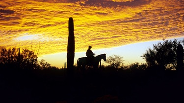  Brennende Sonnenuntergänge und imposante Seguaro-Kakteen gehören zu jedem richtigen Western. | Bild: ORF/Cosmos Factory/Harald Pokieser