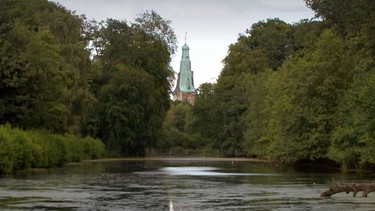 Vom Halterner Silbersee in die Hohe Mark | Bild: WDR