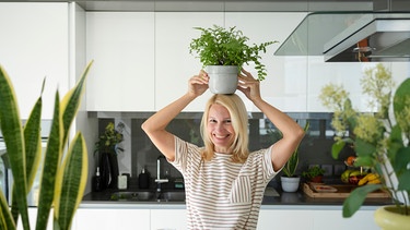 Begeisterung für Zimmerpflanzen | Bild: picture alliance / Westend61 / Svetlana Karner