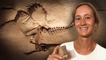 Elena Maier (28) hat Archäologie im Bachelor studiert und arbeitet nun als Archäologin bei einer Grabungsfirma in Bayern. | Bild: BR/Max Hirschfeld, Pixaby