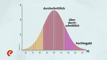 Übersicht der "Intelligenz-Stufen". | Bild: BR