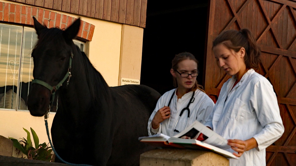 Verena Tiermedizinstudentin mit Kind | Bild: BR