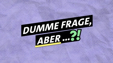 Dumme Frage, aber ...?! - Sendereihenlogo | Bild: BR