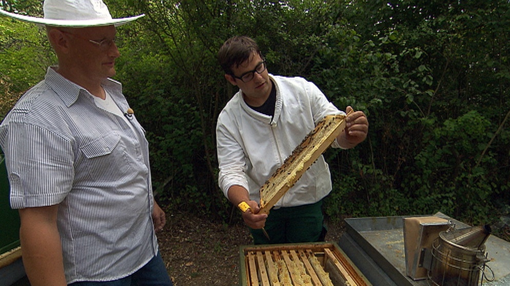 Tierwirt/-in (Fachrichtung Imkerei): Am Honigtopf | Ich Mach's! | ARD ...