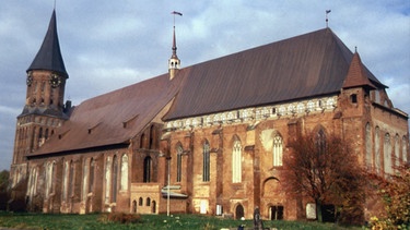 Der Dom von Kaliningrad | Bild: picture-alliance/dpa