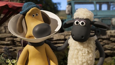 Shaun das Schaf - (Zu) gute Besserung | Bild: WDR/Aardman Animation Ltd./BBC