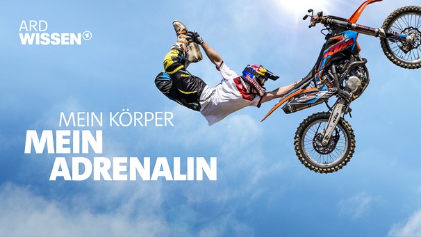 Freestyle-Motocross-Profi Luc Ackermann im Sprung mit seinem Motorrad. Er war mit zwölf Jahren der Jüngste, der weltweit mit dem Motorrad einen Rückwärtssalto gesprungen ist. | Bild: RedBull Contentpool/Jörg Mitter; Montage: BR