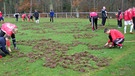 Von Wildschweinen verwüsteter Fußballplatz | Bild: picture-alliance/dpa