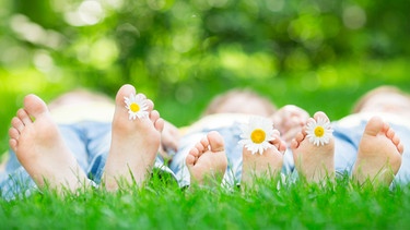 Eine Familie liegt im Gras und hat Margariten zwischen den Zehen. | Bild: stock.adobe.com/Sunny studio