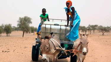 Wasser holen mit dem Eselskarren im Senegal: Das ist extrem zeitaufwändig und weltweit Aufgabe meist von Mädchen und Frauen. | Bild: BR/Radio Bremen/Sonam Rinzin