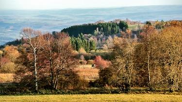 Herbstliche Landschaft in der Langen Rhön. | Bild: HR/Heribert Schöller