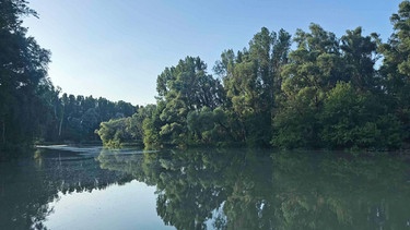 Naturschutzgebiet Szigetko. | Bild: SWR/Bärbel Jacks