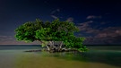 Der "Fluss aus Gras" ist zwar der bekannteste Teil der Everglades, aber das riesige Meeresgebiet, die Florida Bay, ist auch Teil des Nationalparks. | Bild: NDR/NDR Naturfilm/DocLights GmbH