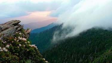 In den Smokies schwankt der jährliche Niederschlag zwischen 140 cm in den Tälern und 215 cm auf einigen Gipfeln - Rang 2 in der Regentabelle hinter dem pazifischen Nordwesten. | Bild: NDR/Doclights GmbH