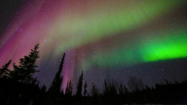 Das Polarlicht (auch: Aurora borealis) entsteht durch das Auftreffen geladener Teilchen des Sonnenwindes auf die Erdatmosphäre. | Bild: NDR/NDR Naturfilm/Doclights/Uwe Anders