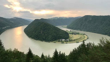 Die Schlögener Schlinge. | Bild: SWR/Sven Kische