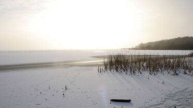 Winter am Steinhuder Meer - immer seltener friert die riesige Wasserfläche komplett zu. Früher fuhren die Anwohner manchmal sogar mit dem Auto auf das Eis. | Bild: BR/NDR/Klaus Weißmann