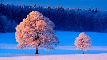 Der Winter verzaubert die Landschaft auf märchenhafte Weise. | Bild: WDR/Steffen Sailer